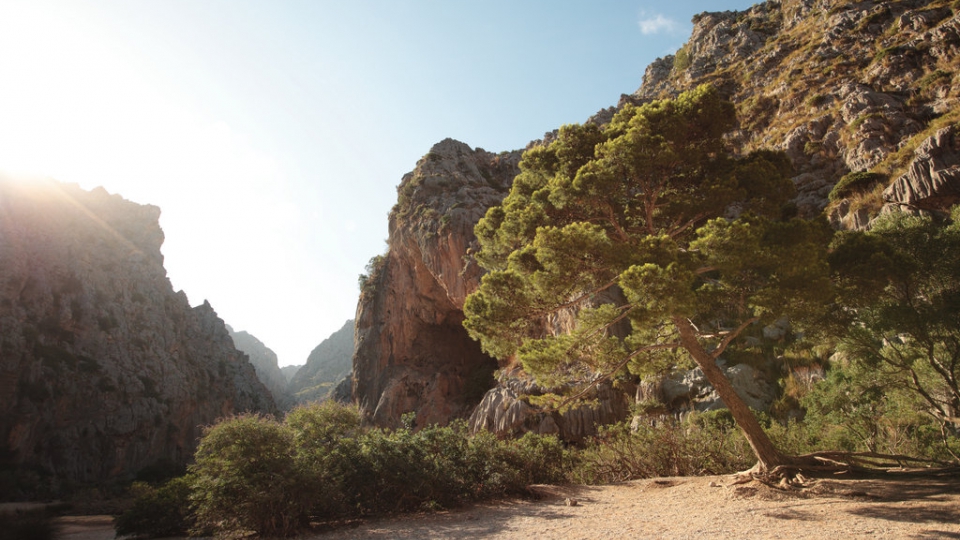Traumhafte Mallorca-Kombinationsreise