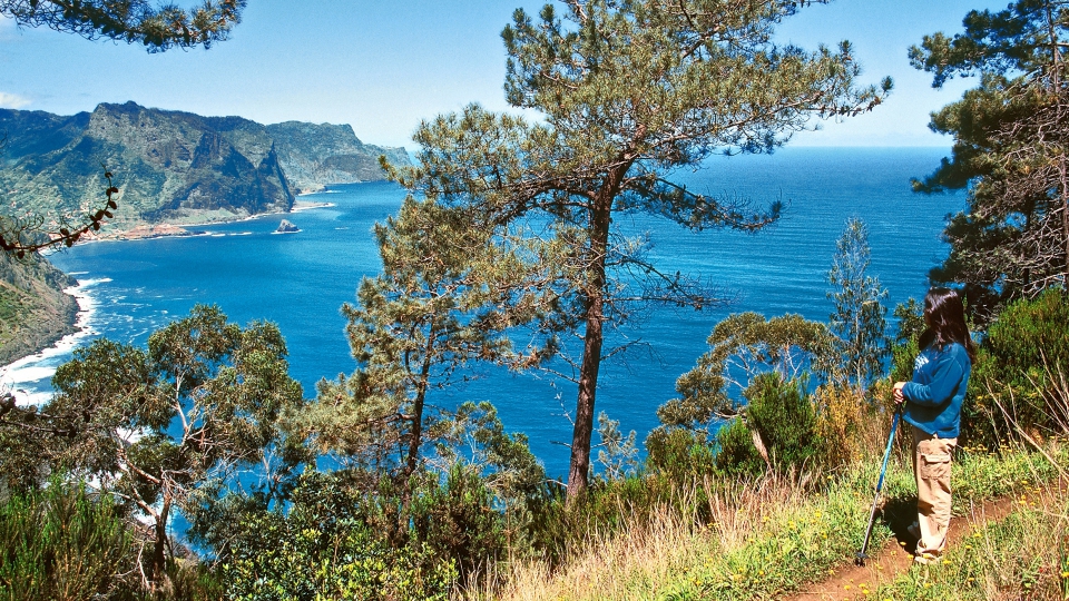 Madeira - Blumenzauber im Atlantik