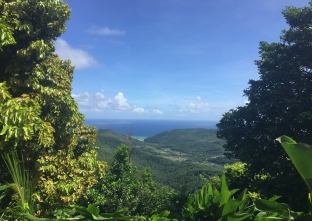 Karibik - paradiesische Inselwelten zum Greifen nah